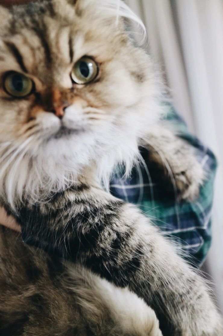 NaverBlog_20151023_152425_02.jpg?type=w2