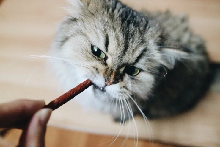 NaverBlog_20151110_221825_20.jpg?type=w2