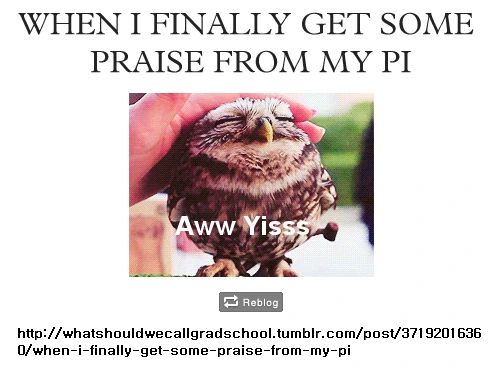 0258FF3350F3B63634A5DC