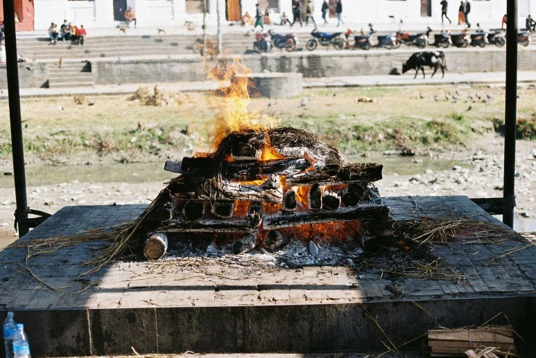 000028.JPG?type=w773