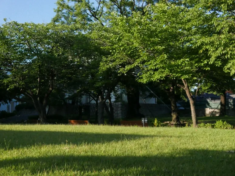 L1070473.JPG?type=w773