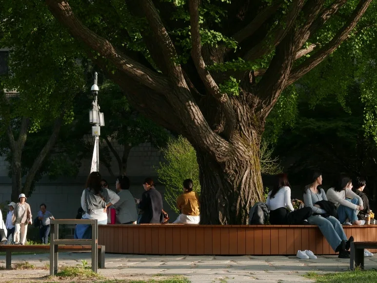 L1070339.JPG?type=w773