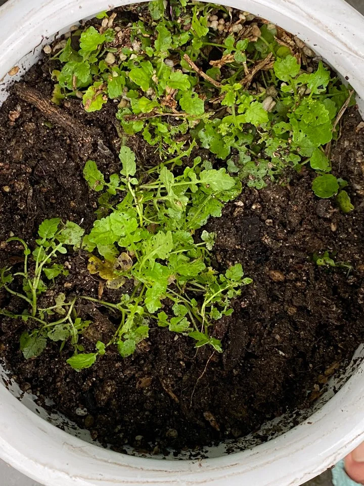 %EC%83%883.jpg?type=w773