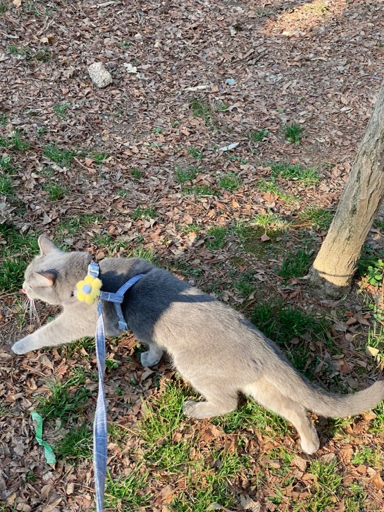 KakaoTalk_20230402_085753565_28.jpg?type=w773