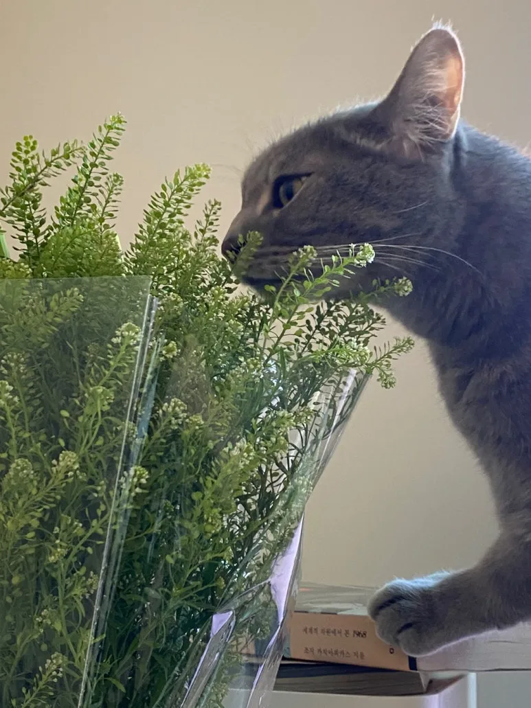 KakaoTalk_20240629_132225072_01.jpg?type=w773