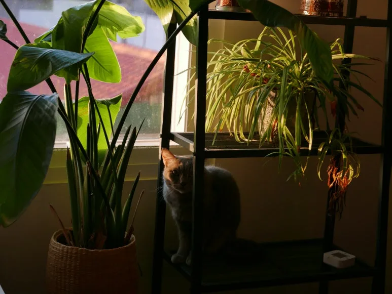 L1070329.JPG?type=w773