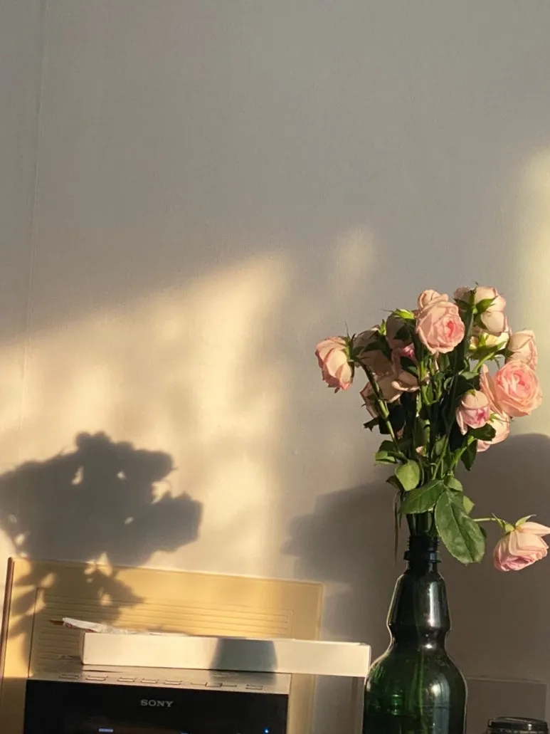 SE-72fcd619-f4a5-4746-a0fe-02a8d96c6ea0.jpg?type=w773