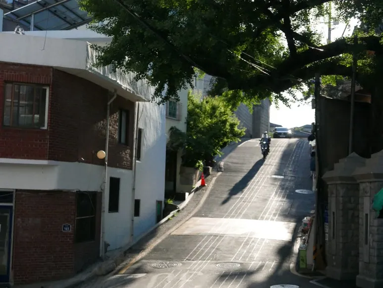 L1070458.JPG?type=w773