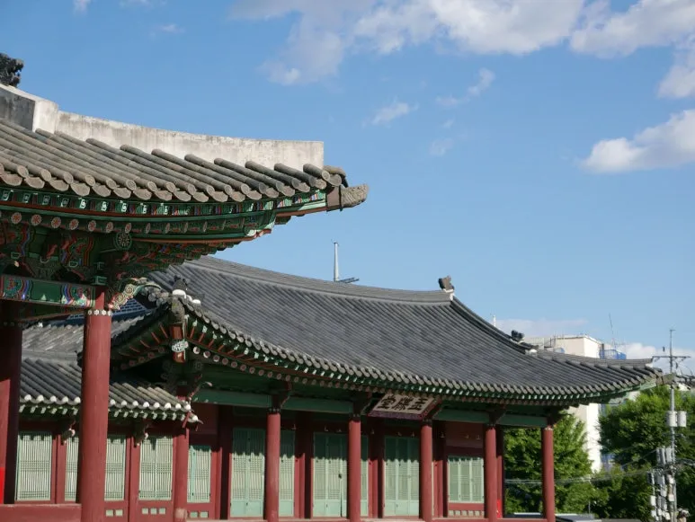 L1070409.JPG?type=w773