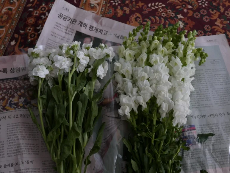 L1070334.JPG?type=w773