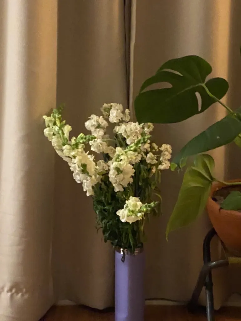 KakaoTalk_20240629_151841245_08.jpg?type=w773