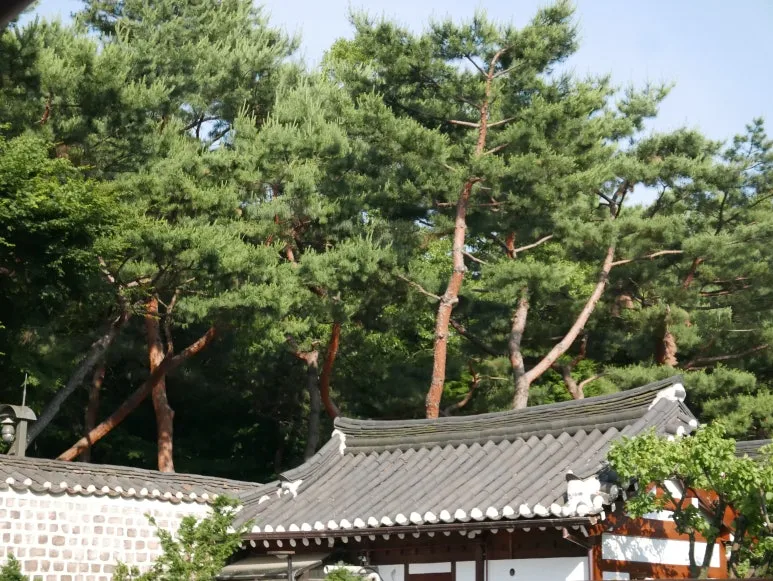 L1070508.JPG?type=w773