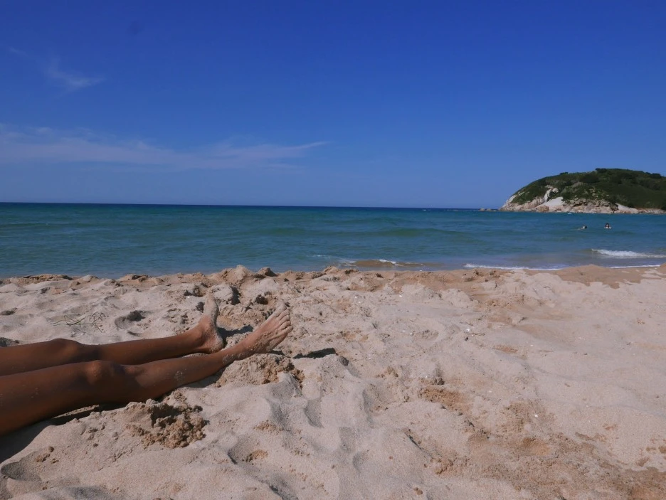 SE-39b2a781-29bc-4dc5-ba77-852489c54212.jpg?type=w1