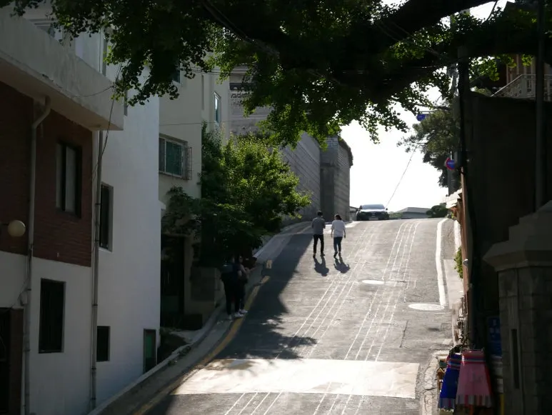 L1070489.JPG?type=w773