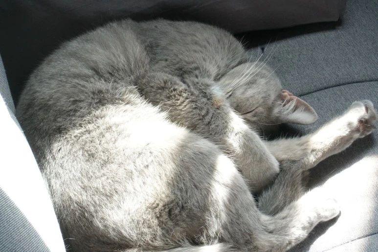 DSC00454.JPG?type=w773