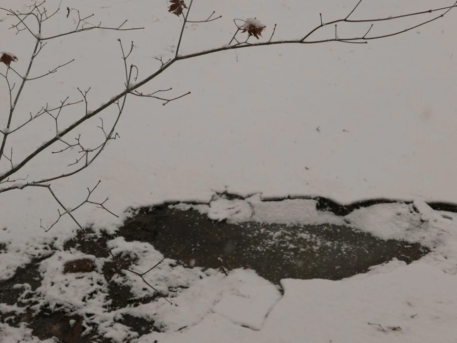 L1050873.JPG?type=w1