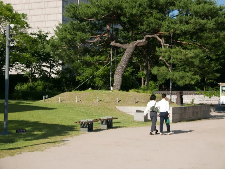 L1070408.JPG?type=w773