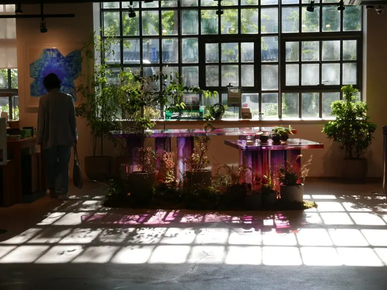 L1070396.JPG?type=w773