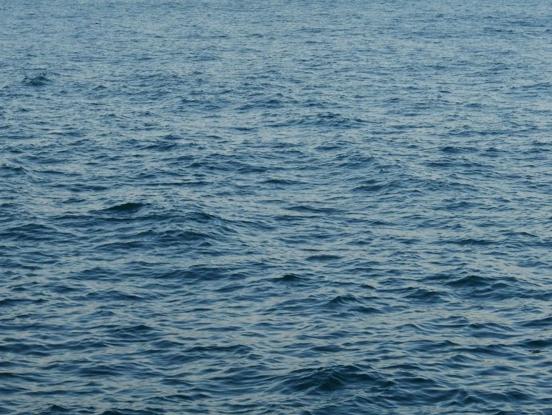 L1050740.JPG?type=w773