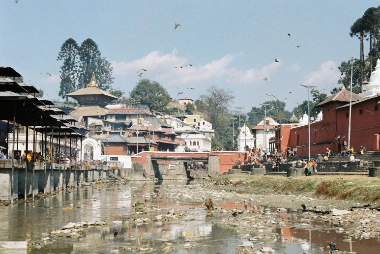 000013.JPG?type=w773