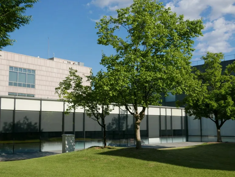 L1070421.JPG?type=w773