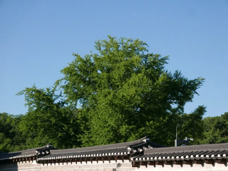 L1070433.JPG?type=w773