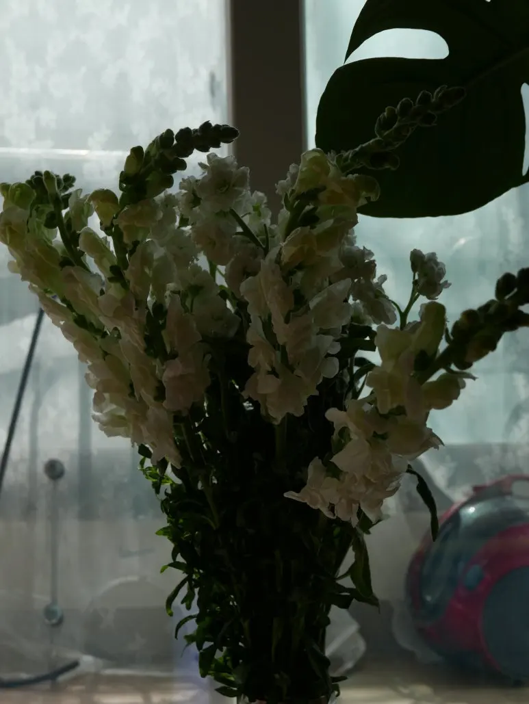 L1070337.JPG?type=w773