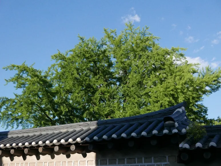 L1070435.JPG?type=w773