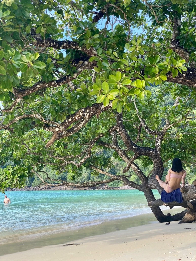 KakaoTalk_20230204_170611169_02.jpg?type=w773