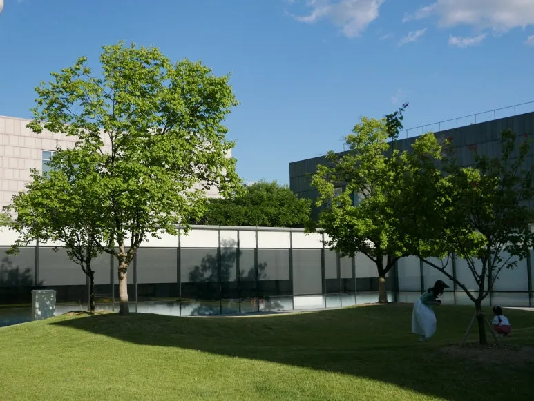 L1070419.JPG?type=w773