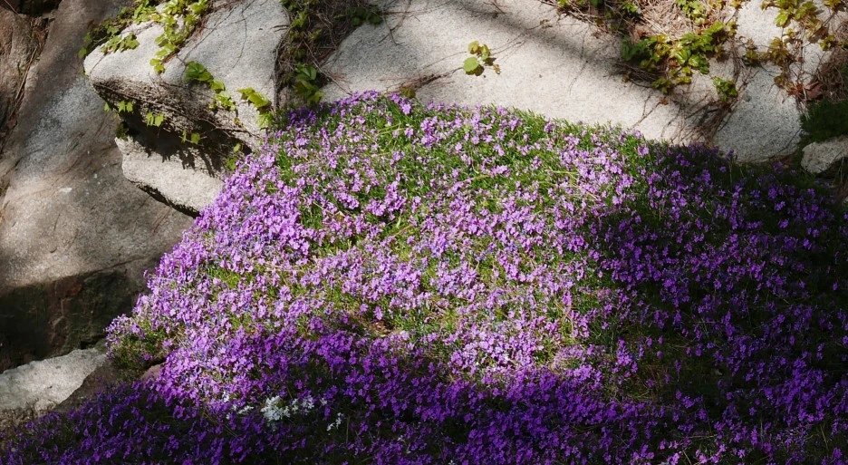 SE-a182f523-1cda-4386-86d2-ce8193daf2e3.jpg?type=w1