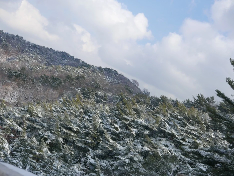 L1060206.JPG?type=w1