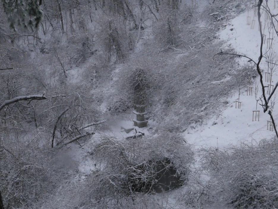 L1060025.JPG?type=w1