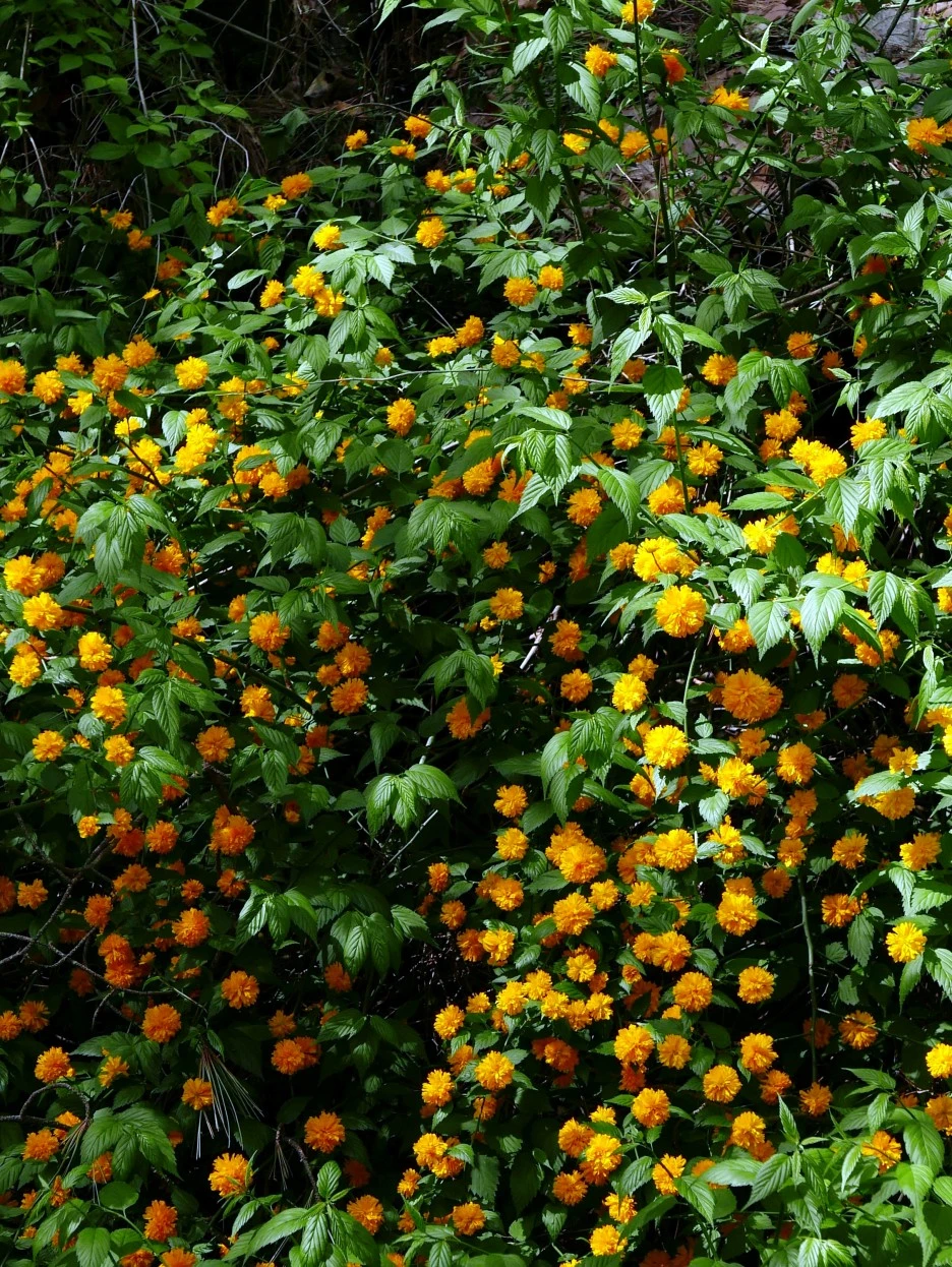 SE-63e190d0-7b14-4815-b89c-726ad006aa82.jpg?type=w1