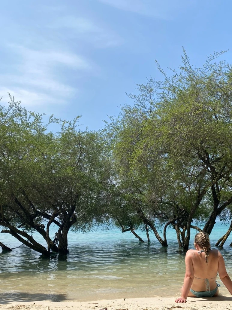 KakaoTalk_20230124_125333052_17.jpg?type=w773