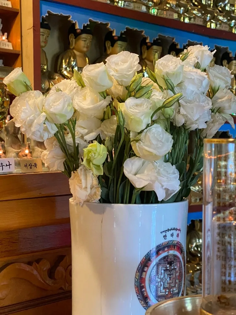 KakaoTalk_20240702_161757950_10.jpg?type=w773