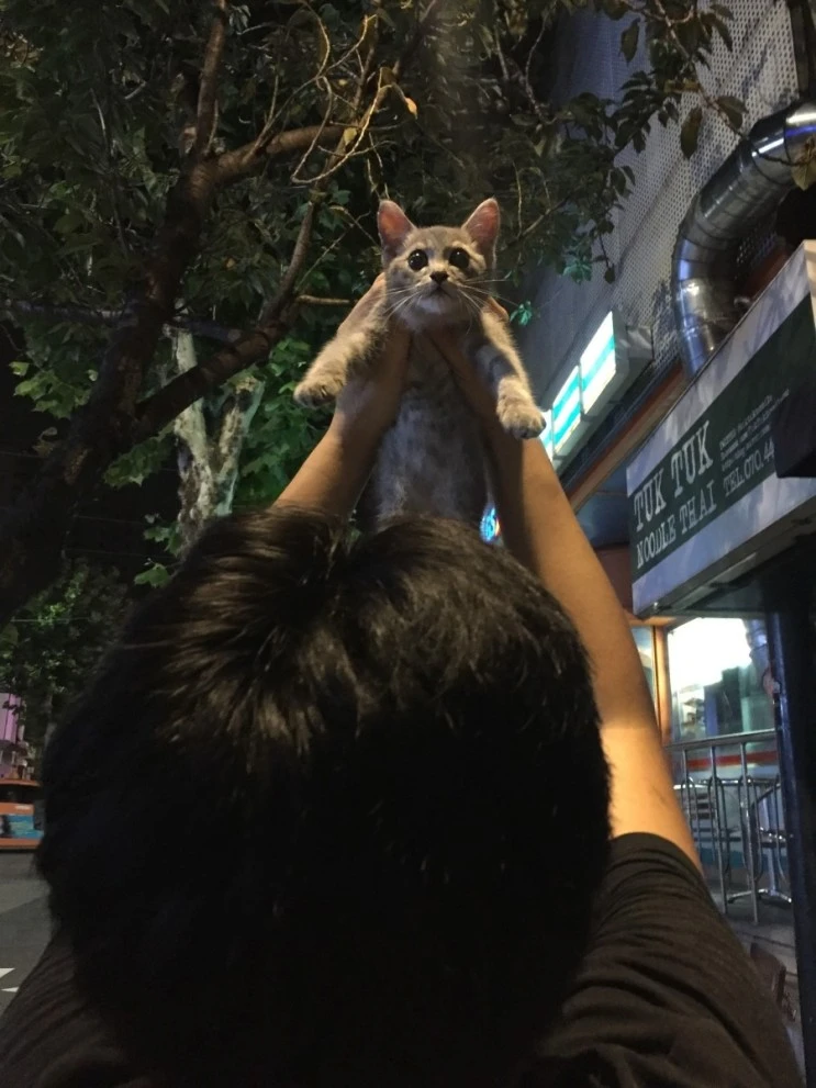 P20170731_002015603_1C6ED720-BD70-4572-BD6E-A1B46A1C2C1B.JPG?type=w2