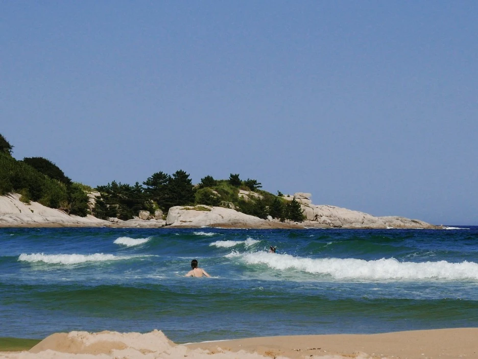 SE-b44e82d3-ccaf-4d92-9624-f6de90d59755.jpg?type=w1