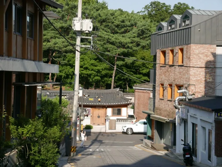 L1070512.JPG?type=w773