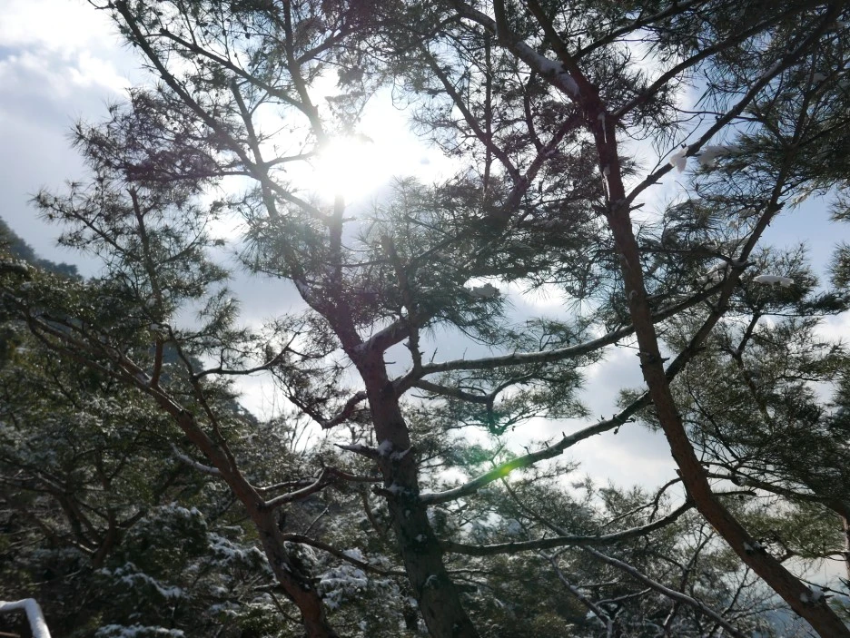 L1060202.JPG?type=w1