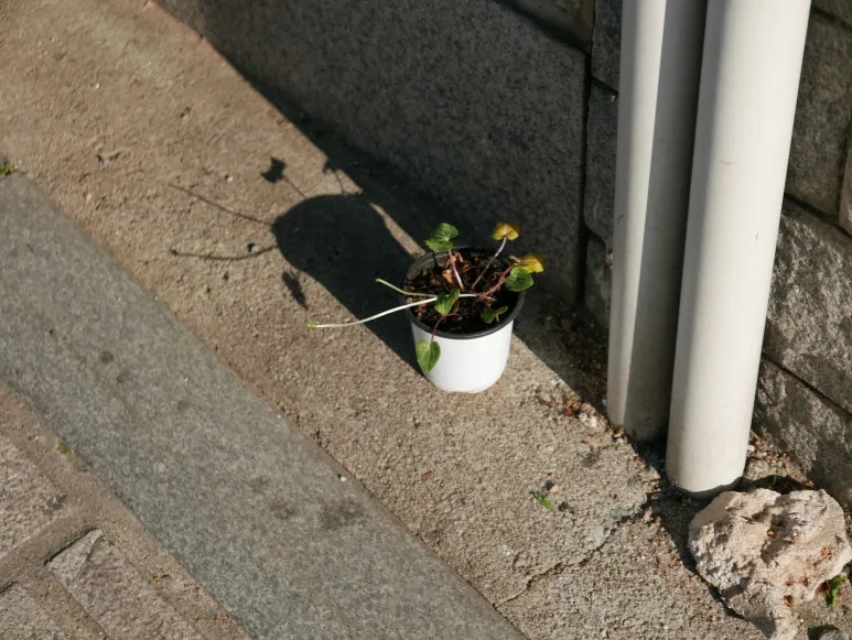 L1070424.JPG?type=w773