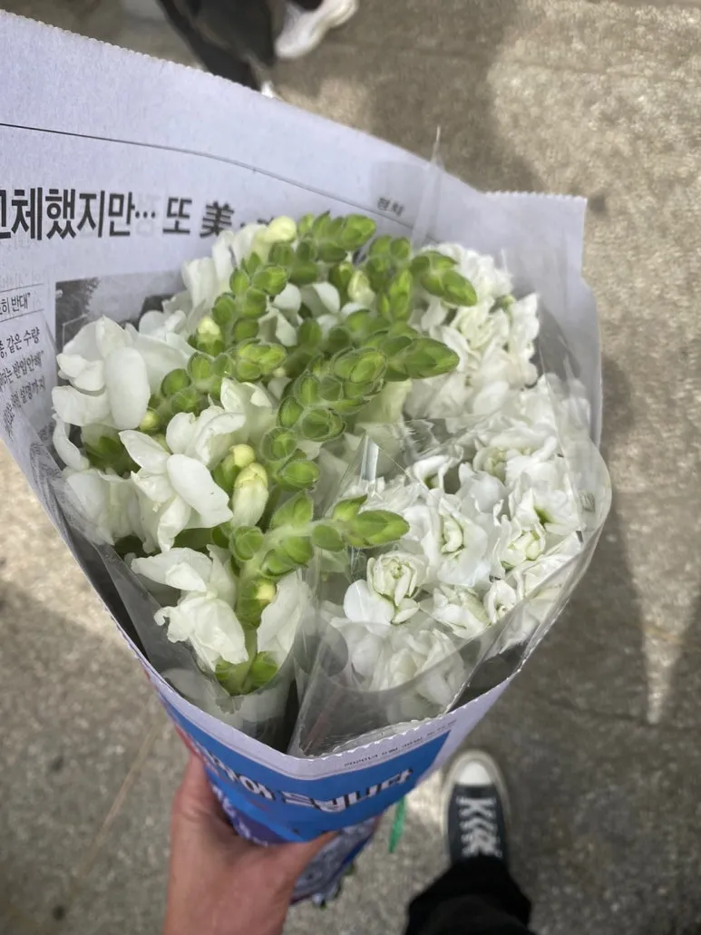 KakaoTalk_20240629_151841245_10.jpg?type=w773