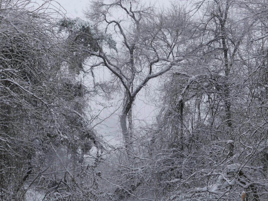 L1060001.JPG?type=w1