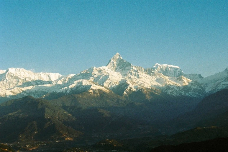 000031.jpg?type=w773