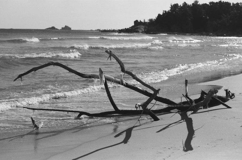 97240032.jpg?type=w773