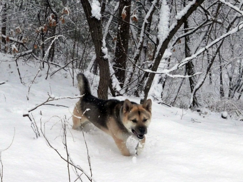 SE-fe2e6713-8cdc-4d34-af56-e81d1270a66d.jpg?type=w1