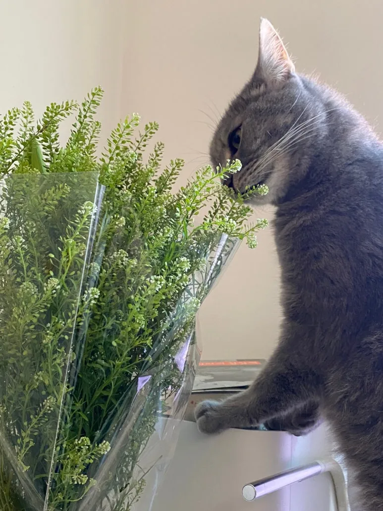 KakaoTalk_20240629_132225072.jpg?type=w773