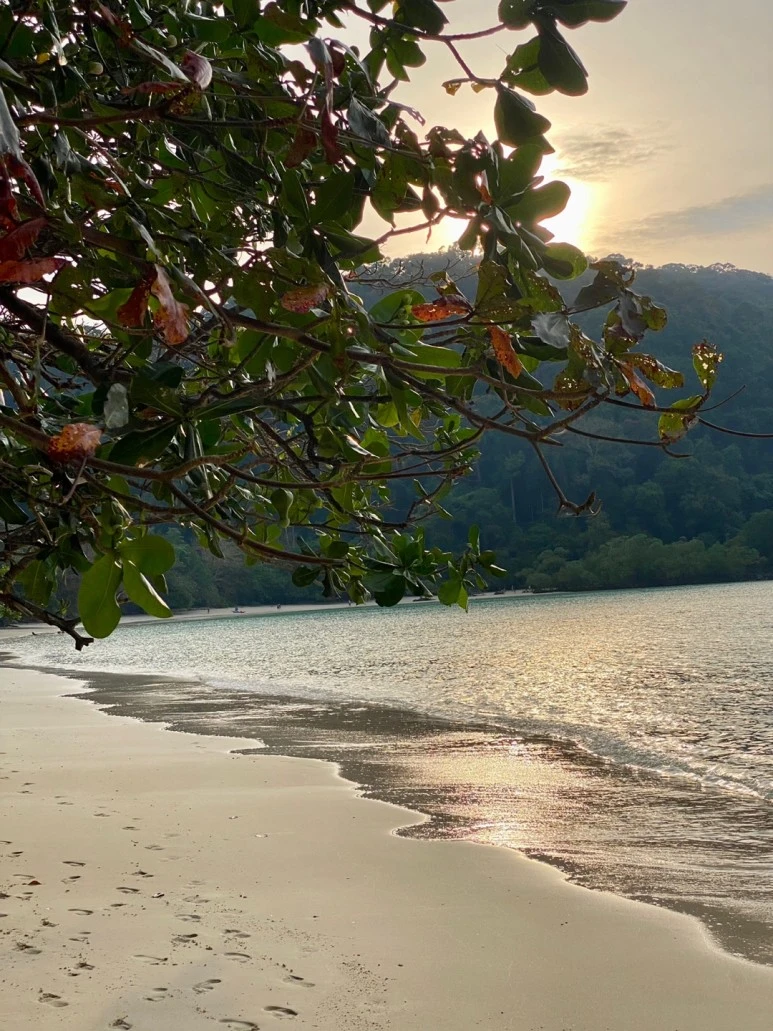 KakaoTalk_20230204_170529030_17.jpg?type=w773