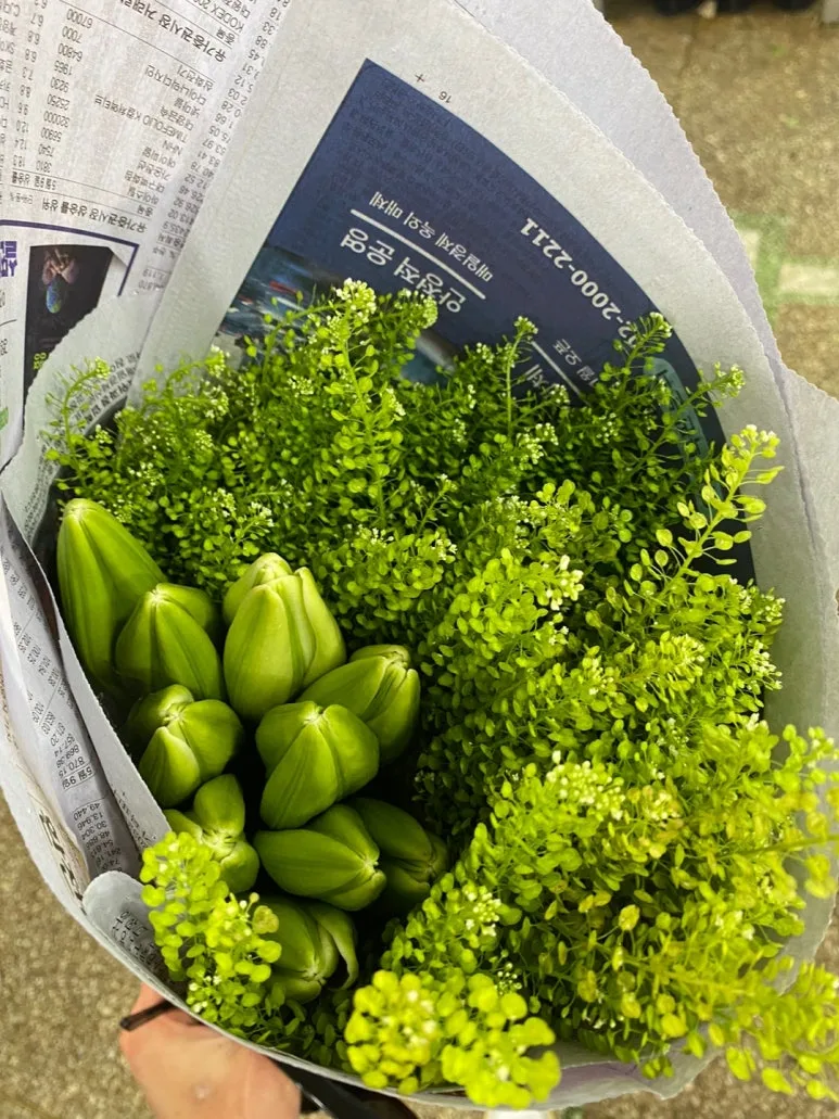 KakaoTalk_20240629_151508553_28.jpg?type=w773