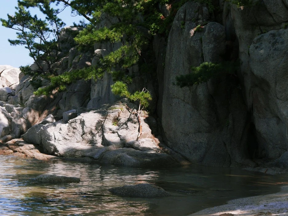 SE-03e0268e-2404-4cd9-a652-4aeed57a6c8b.jpg?type=w1